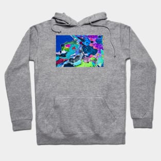 Colors of ephemeral art VI / Swiss Artwork Photography Hoodie